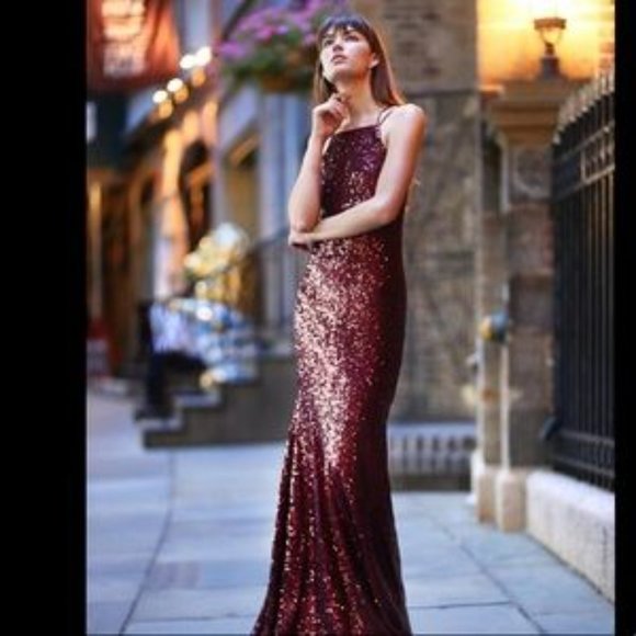 NWT Theia Gemma Sequin Dress in Garnet - Boat Neck with Scoop Back - Picture 3 of 3